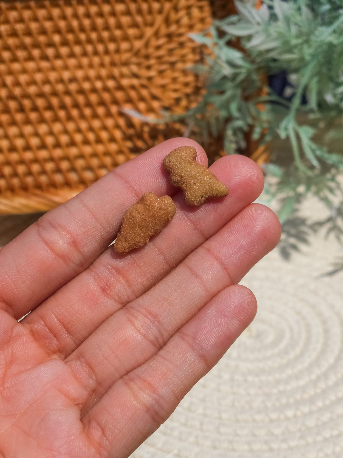Dino Nugget Stud Earrings