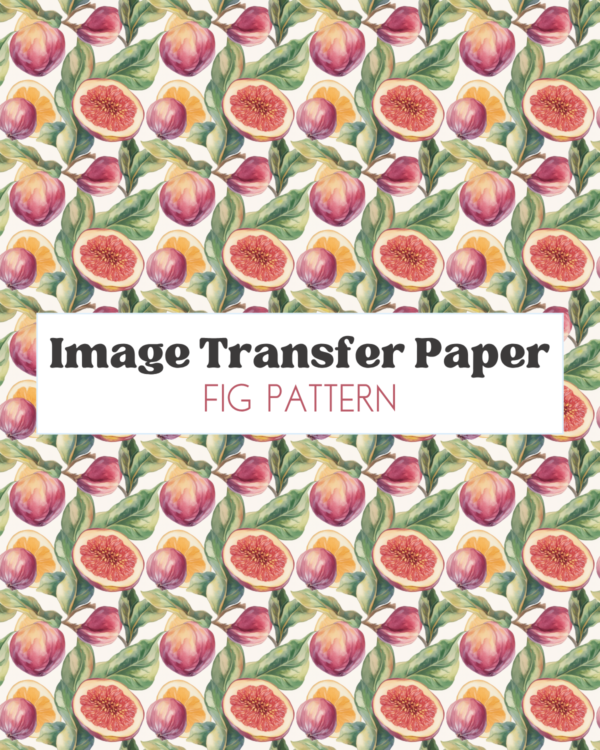 Fig Pattern - Transfer Sheet
