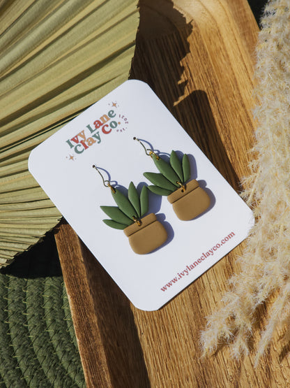 Plants & Pots (Build-Your-Own)